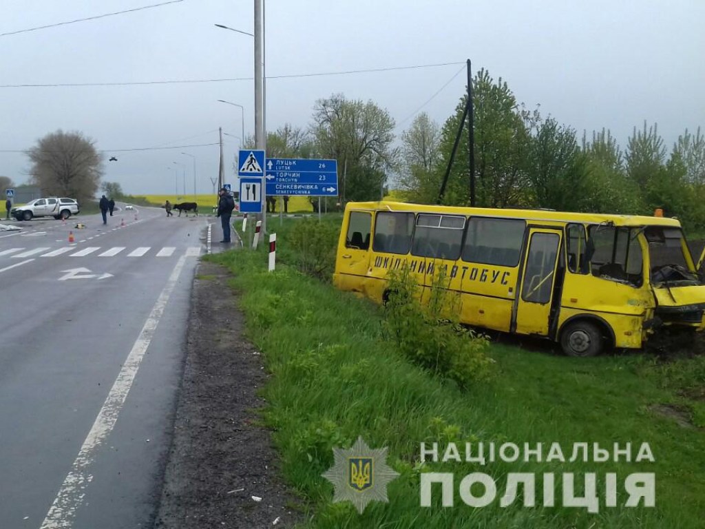 На Волыни столкнулись школьный автобус и грузовик, есть погибший (ФОТО)