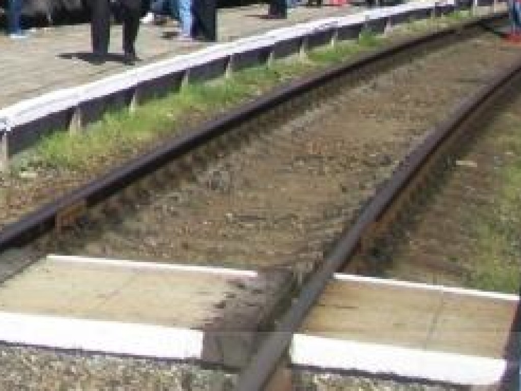 Шла по путям: в Житомирской области поезд насмерть сбил 55-летнюю женщину