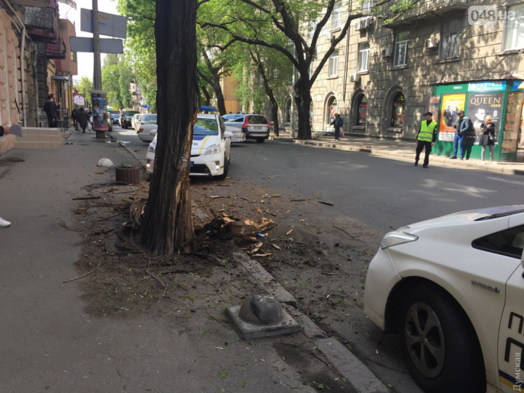 В центре Одессы водитель Toyota влетел в дерево и получил травмы (ФОТО)