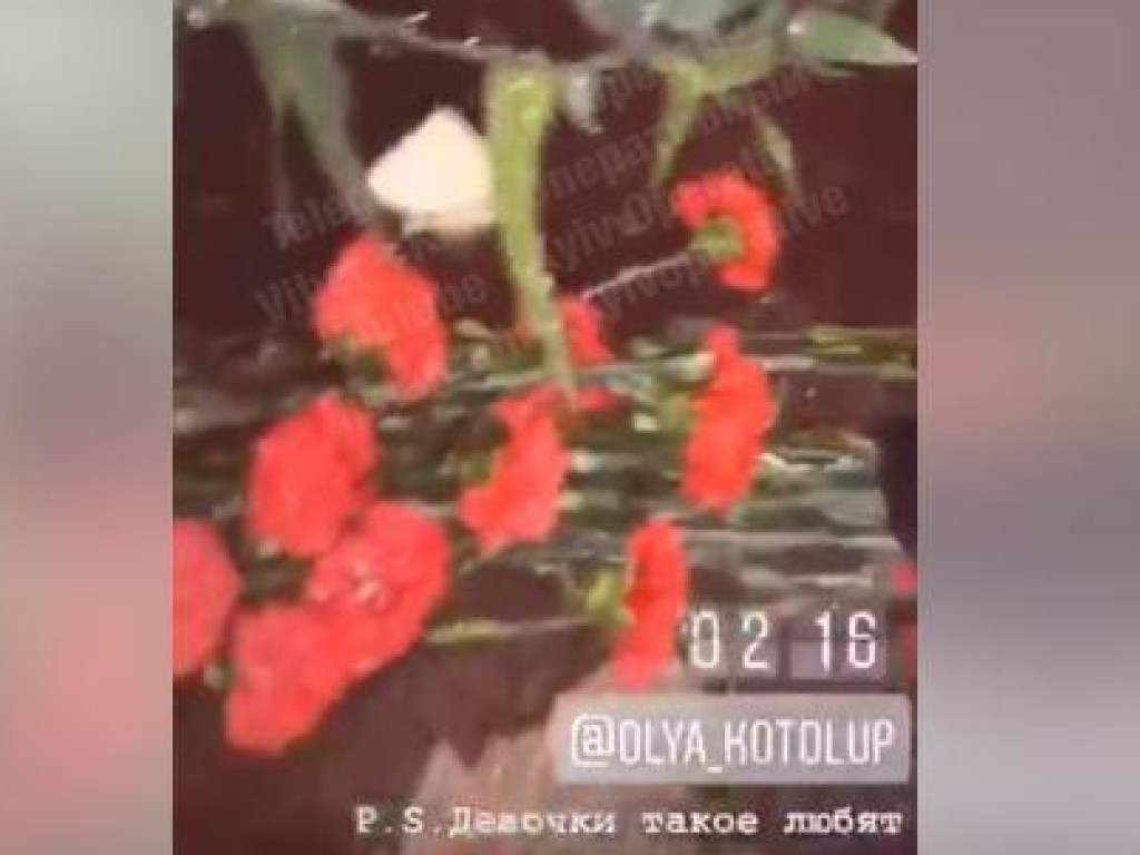 Дочь чиновника из Минобороны разбросала цветы возложенные к памятнику жертв ВМВ (ФОТО, ВИДЕО)