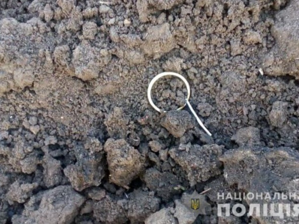 В Донецкой области пенсионер покончил с собой: взорвал гранату (ФОТО)