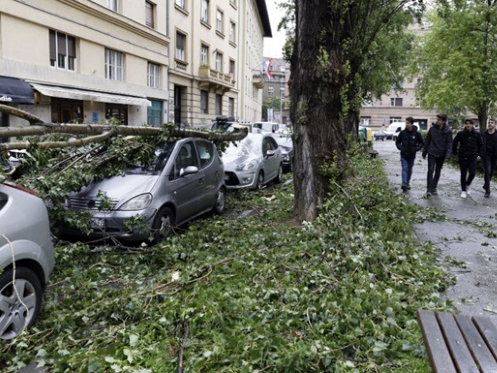 В Хорватии из-за мощного урагана начали падать деревья (ФОТО)