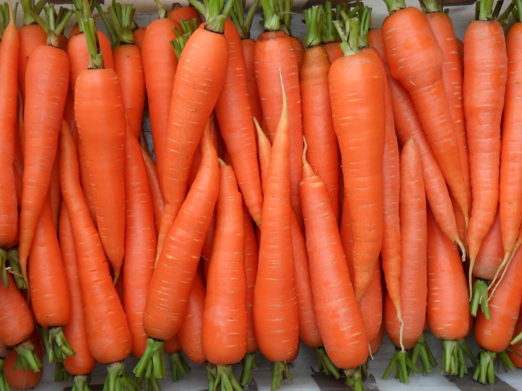 «Чистка легко и быстро»: морковь против глистов и паразитов