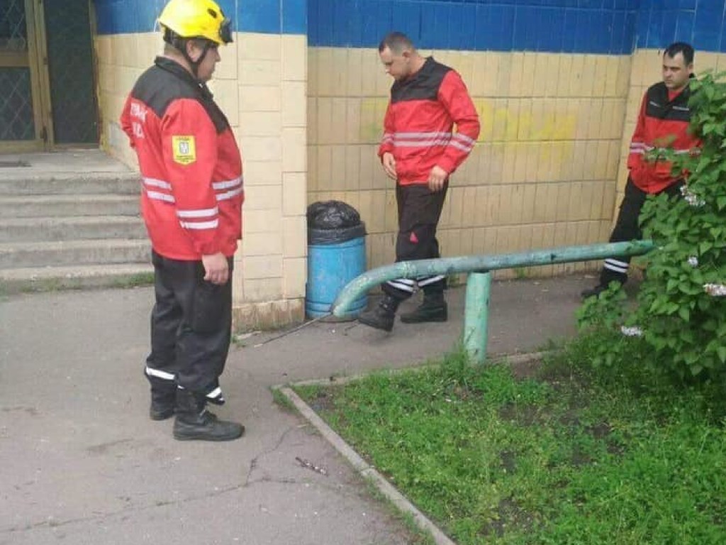 На Троещине в Киеве спасатели истребили гнезда шершней и ос (ФОТО)