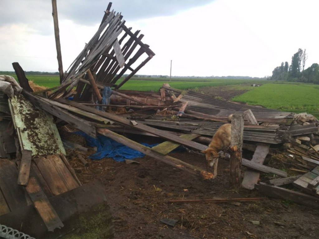 Огромный смерч в Житомирской области: ветром сорвало крыши (ФОТО, ВИДЕО)