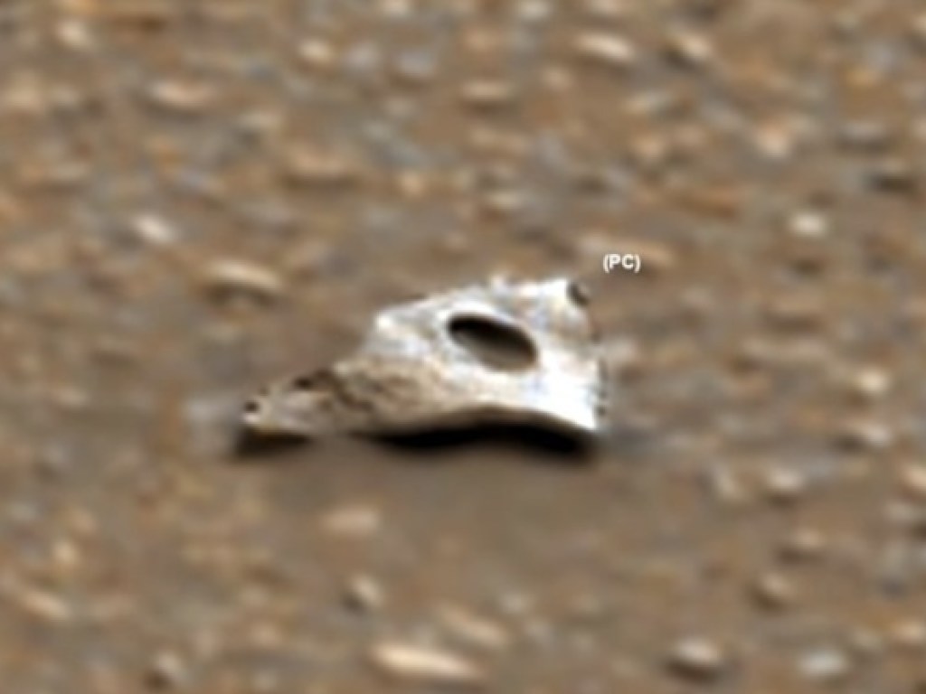 На Марсе обнаружили металлический объект с дыркой (ВИДЕО)