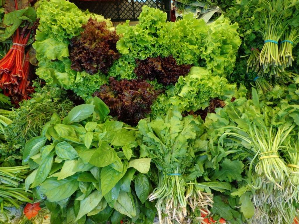 Медики составили рейтинг самой полезной огородной зелени