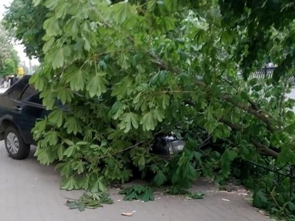 На бульваре в центре Киева легковушка вылетела на тротуар и сбил двух женщин (ФОТО)