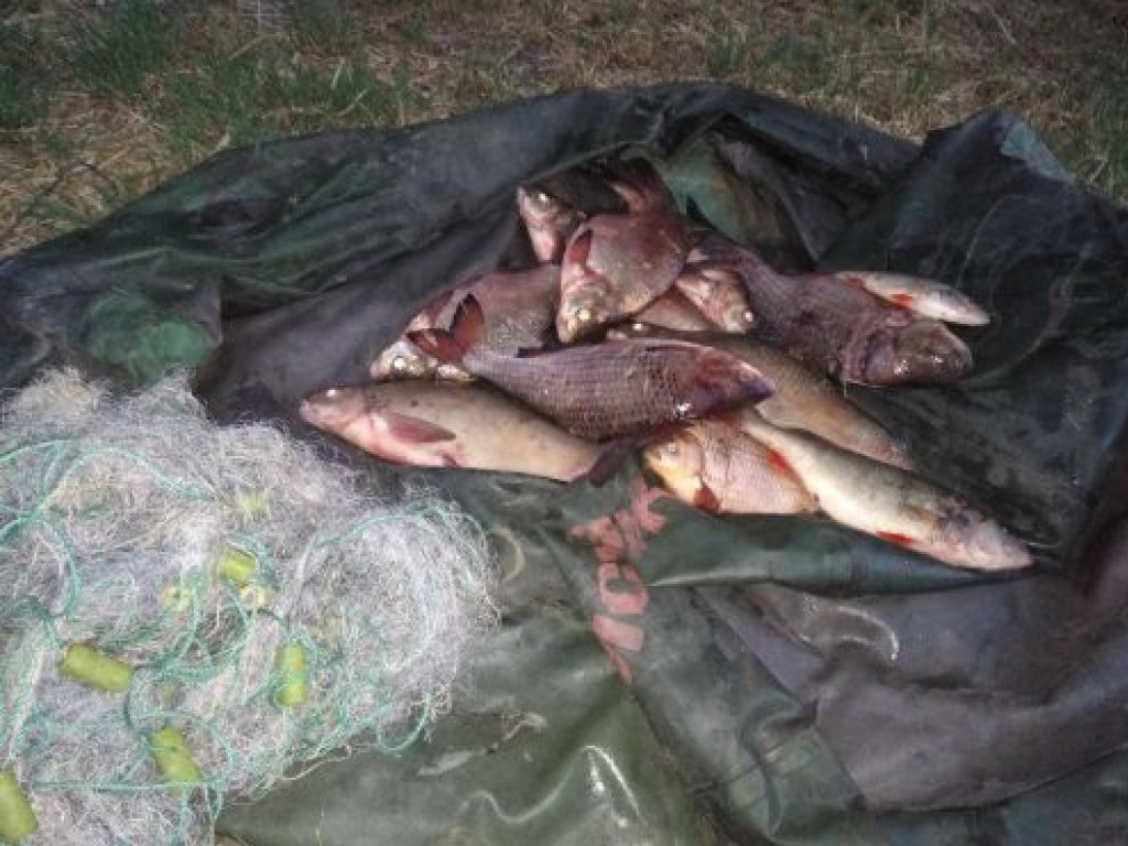 В Черкасской области разоблачили браконьеров