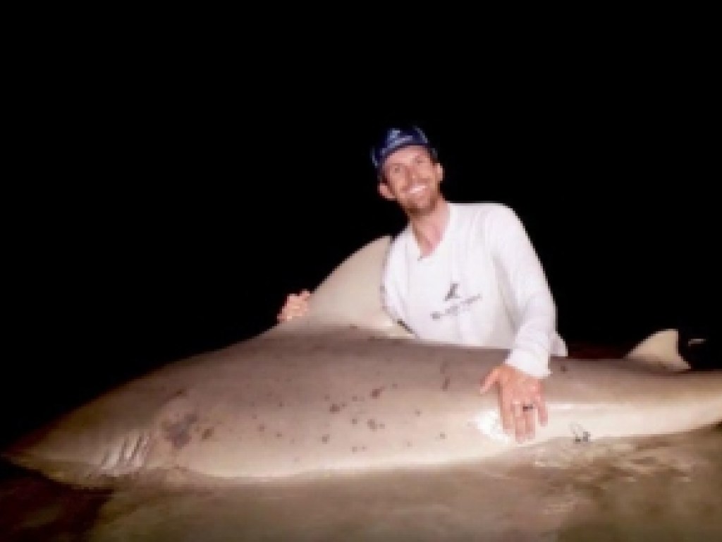 В США рыбаки сняли на видео схватку с самой опасной акулой в мире (ВИДЕО)