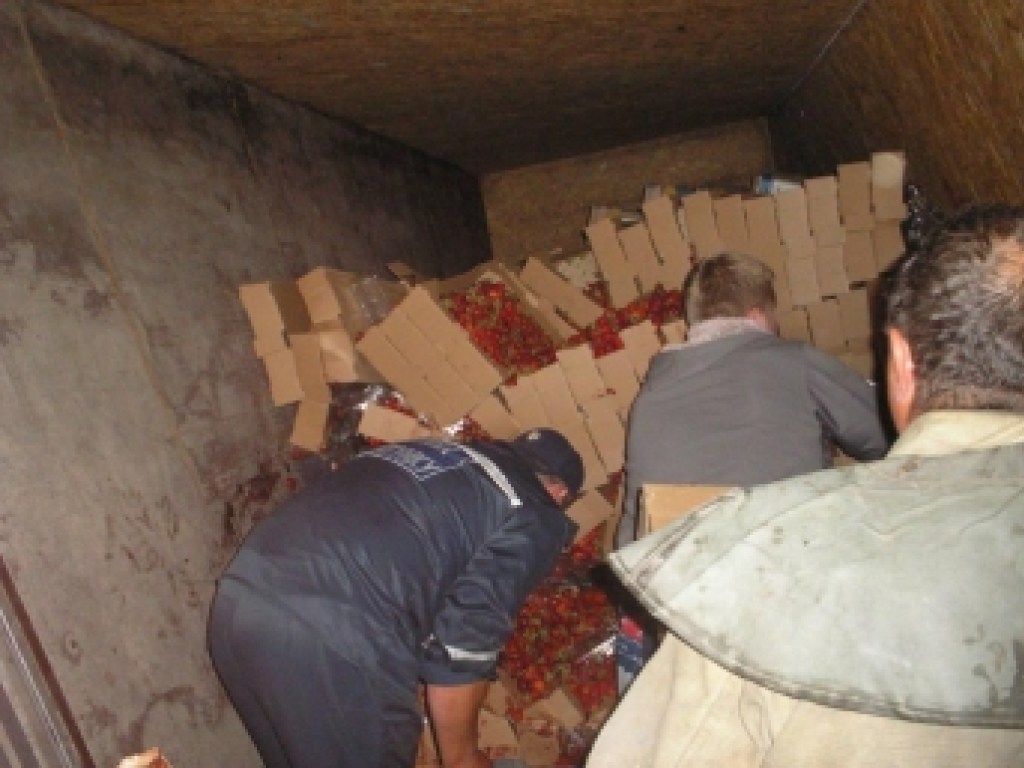 На трассе под Запорожьем перевернулся грузовик с 5 тоннами клубники (ФОТО)