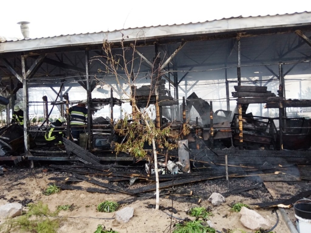 Под Днепром сгорел бар: огонь уничтожил кухню и летнюю террасу (ФОТО)