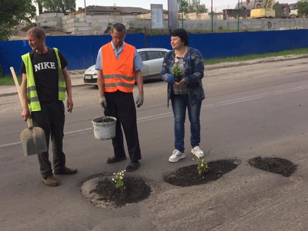 В Луцке активисты посадили цветы в ямах на дороге (ФОТО)
