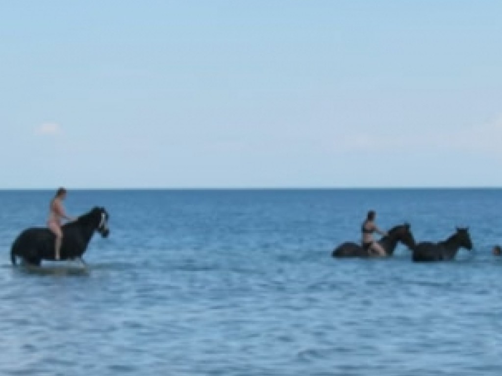 Симпатичные девушки заехали на лошадях в Азовском море (ФОТО, ВИДЕО)