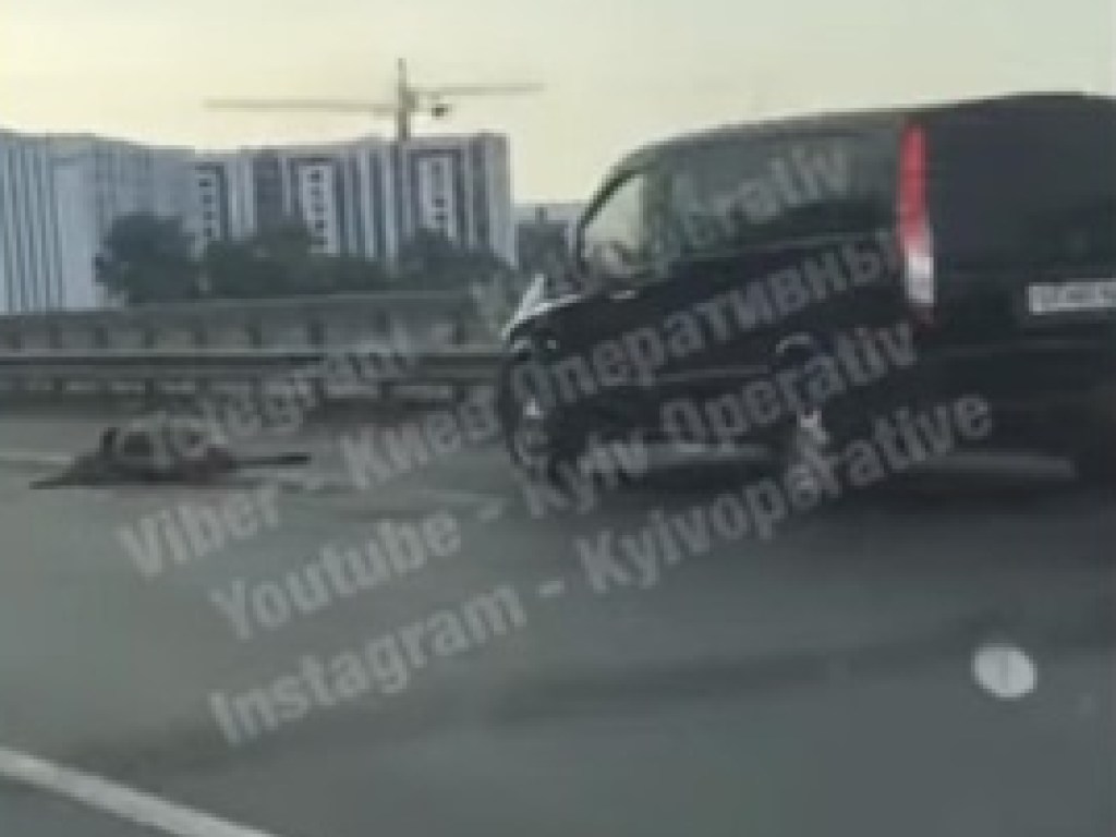 На Южном мосту в Киеве микроавтобус Mercedes наехал на лося (ФОТО, ВИДЕО)