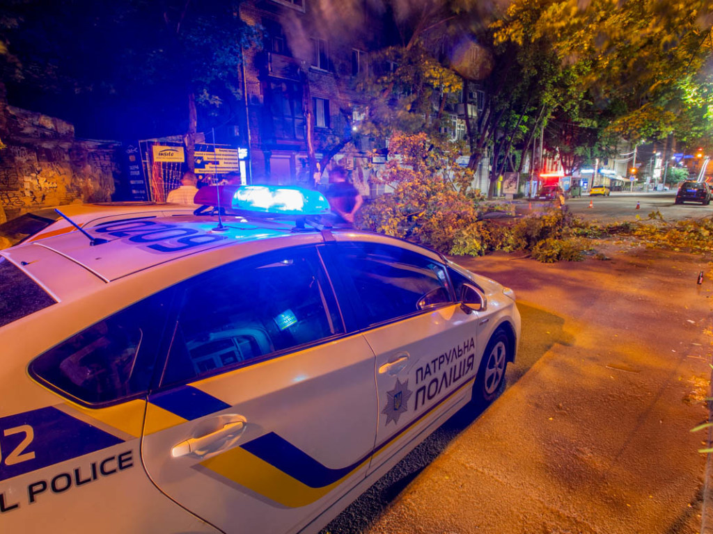 В Днепре огромная ветка дерева рухнула на проезжую часть: водителей направили по другим улицам (ФОТО)