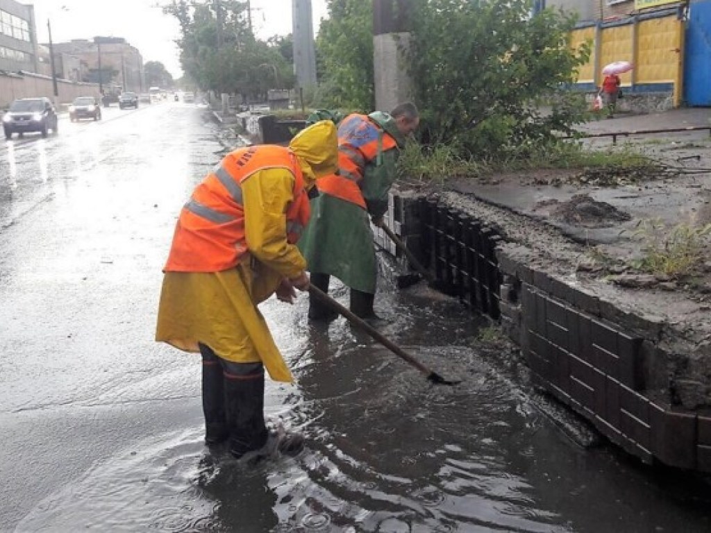 Шторм и ливень в Одессе: на улицах падают деревья, транспорт движется с опозданием (ФОТО)