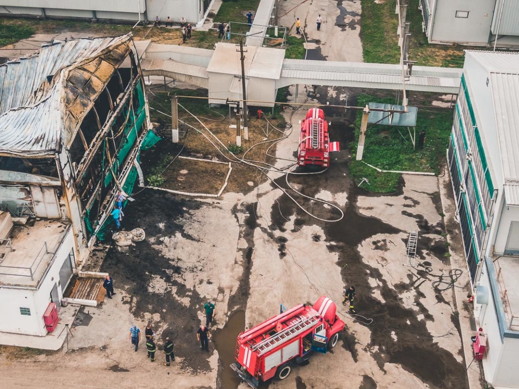 В Сети появились фото и видео последствий пожара на птицефабрики под Киевом