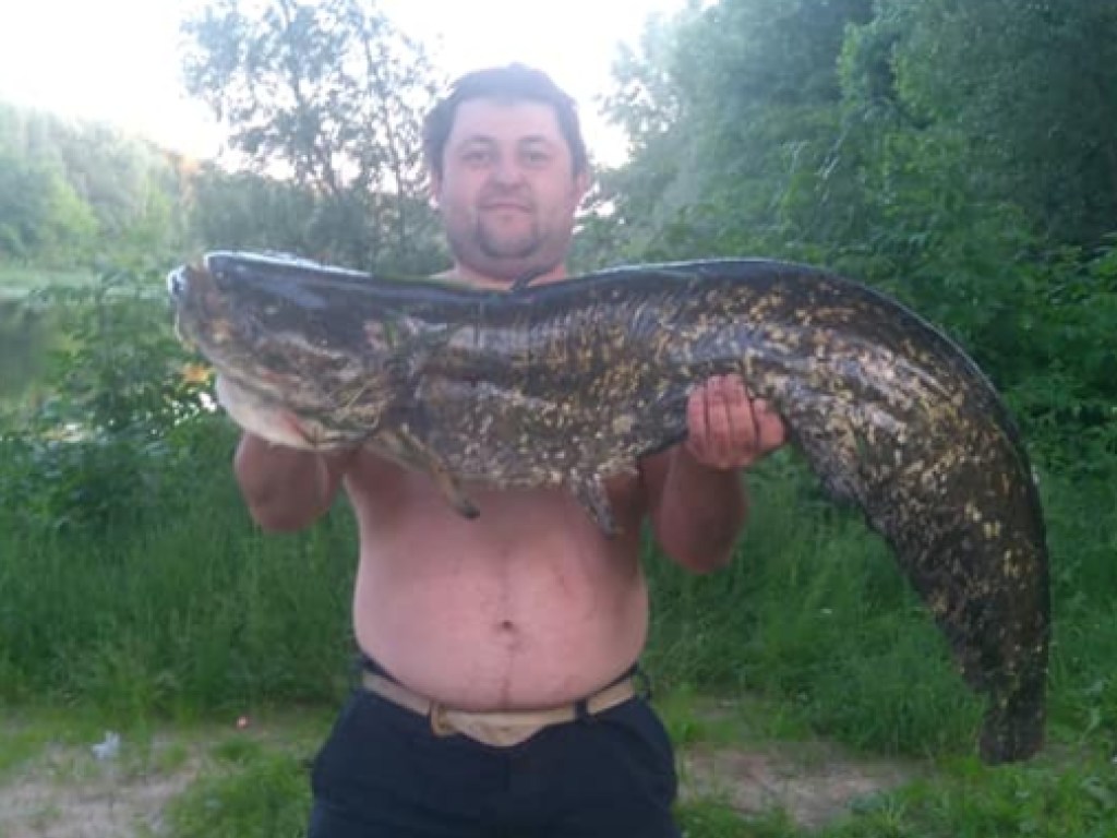 В Черниговской области рыболов вытащил из водоема сома-гиганта (ФОТО)