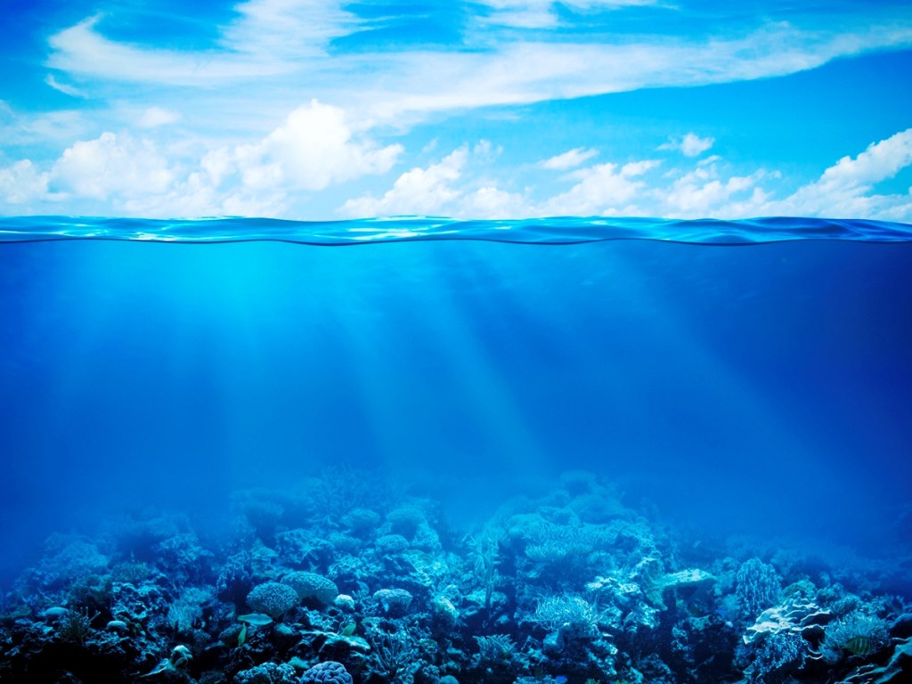 8 июня &#8212; Всемирный день океанов