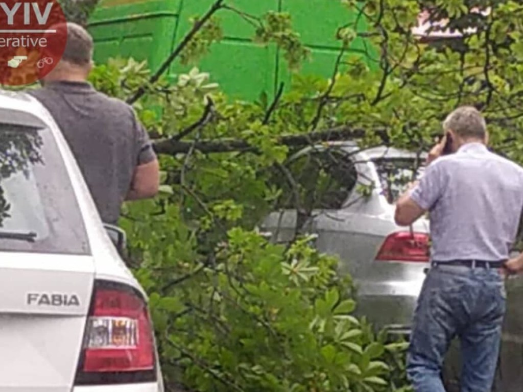 В центре Киева на Volkswagen рухнуло дерево: на улице заблокирован проезд (ФОТО)