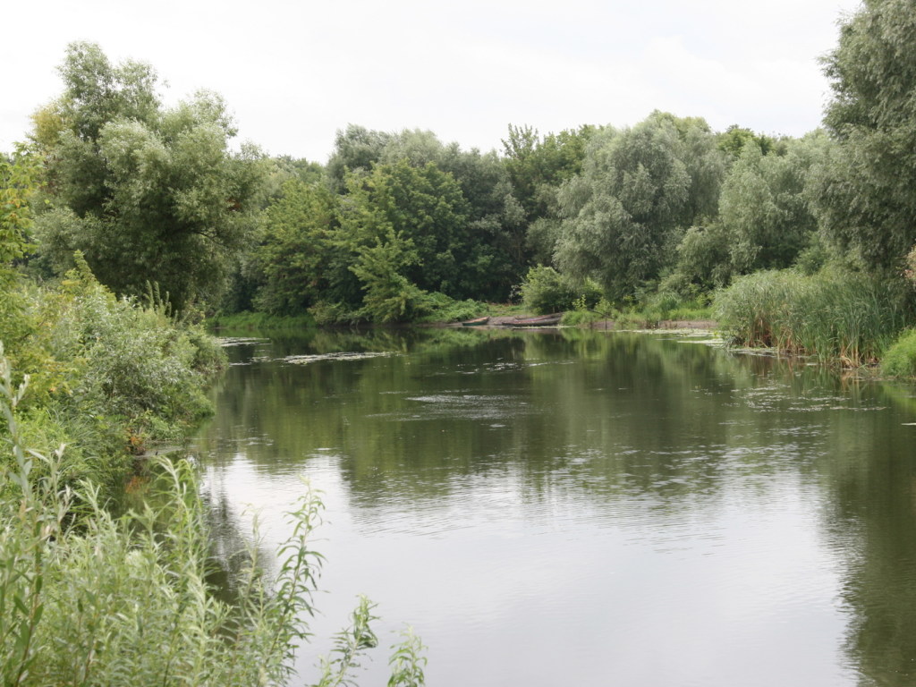 А. Чистяков: «В Украине нет чистых рек»