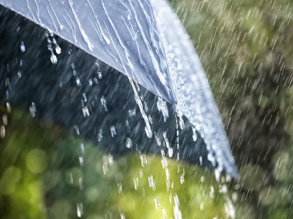 Прогноз погоды на 15 июня: Почти по всей территории Украины пройдут дожди