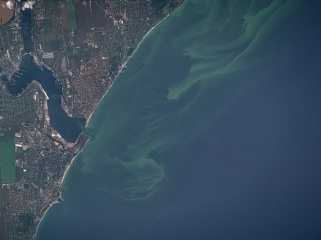 Спутник показал очищение одесского побережья от морских водорослей