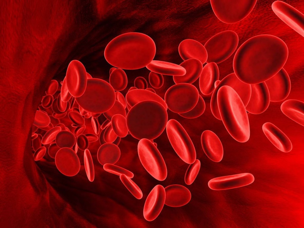 Японские ученые рассказали, обладатели какой группы крови подвержены онкозаболеваниям