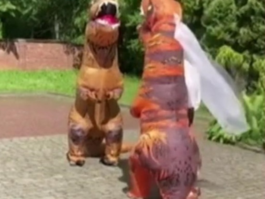 Пара из Львова пришли в ЗАГС в костюмах тираннозавров (ВИДЕО)