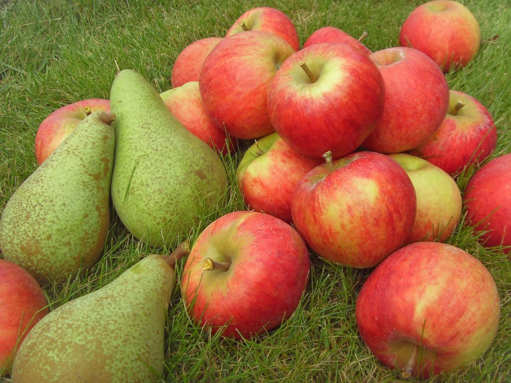 Груши и яблоки могут убить: медики рассказали о вреде «безобидных» фруктов и орехов