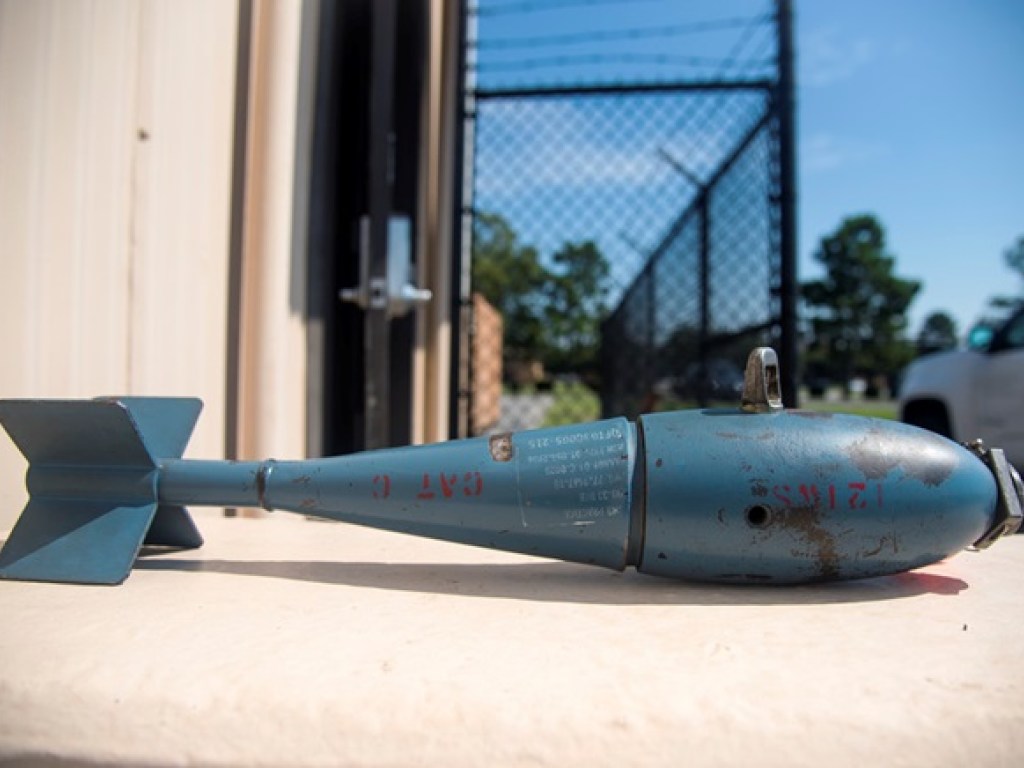 Американский штурмовик в результате столкновения с птицей случайно сбросил на Флориду учебные бомбы (ФОТО)