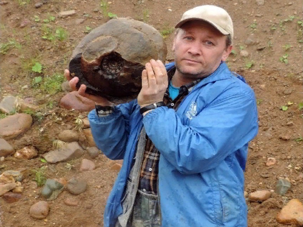 В РФ обнаружили окаменелости огромных моллюсков (ФОТО)