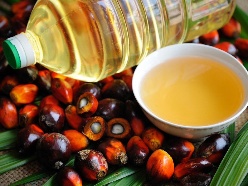 Ученые рассказали об опасности пальмового масла и рассказали об альтернативах