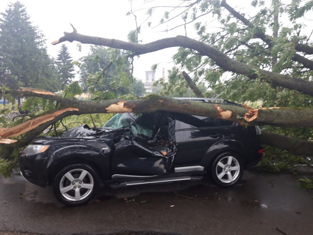 Во Львовской области 2 человека попали в больницу из-за падения дерева на Mitsubishi (ФОТО)