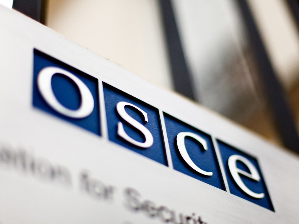 В ОБСЕ отклонили поправку российской делегации по вопросу Донбасса и Крыма