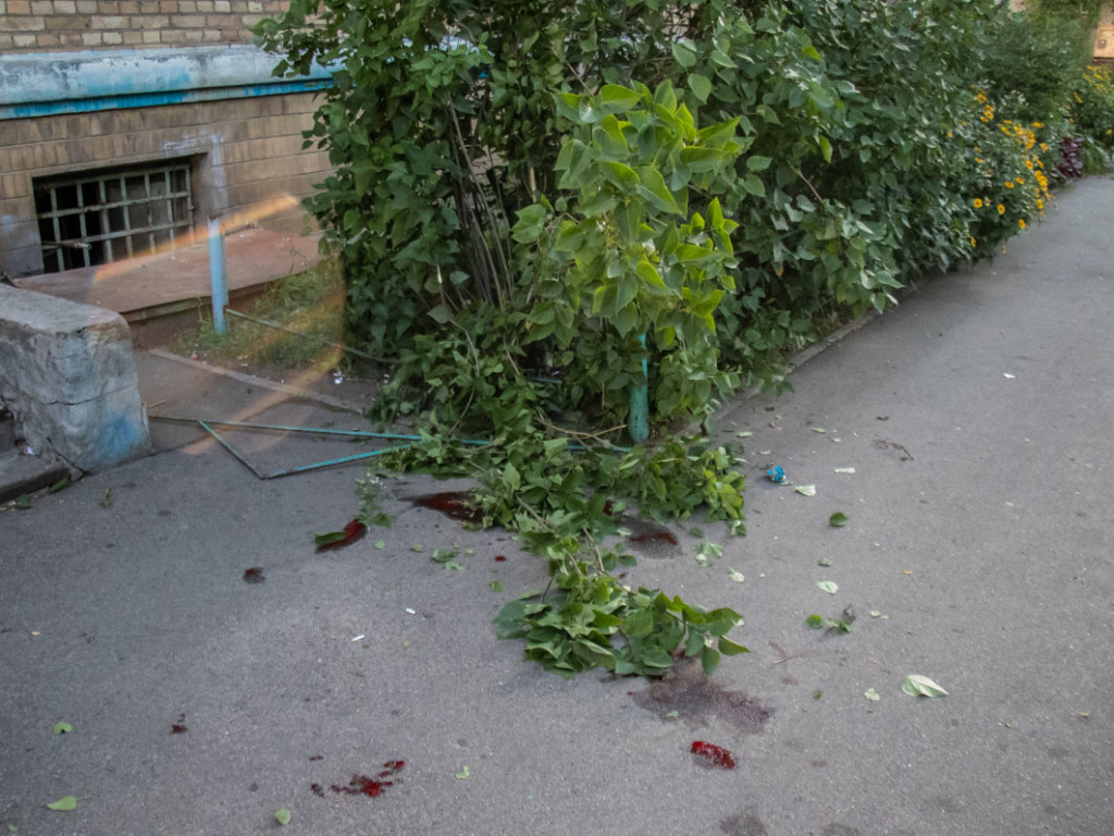 На Новой Дарнице в Киеве 43-летняя женщина выпрыгнула с 5 этажа (ФОТО, ВИДЕО)