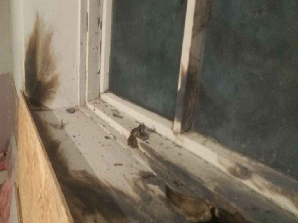 В Днепропетровской области мужчина бросил несколько взрывпакетов в окна жилого дома (ФОТО)