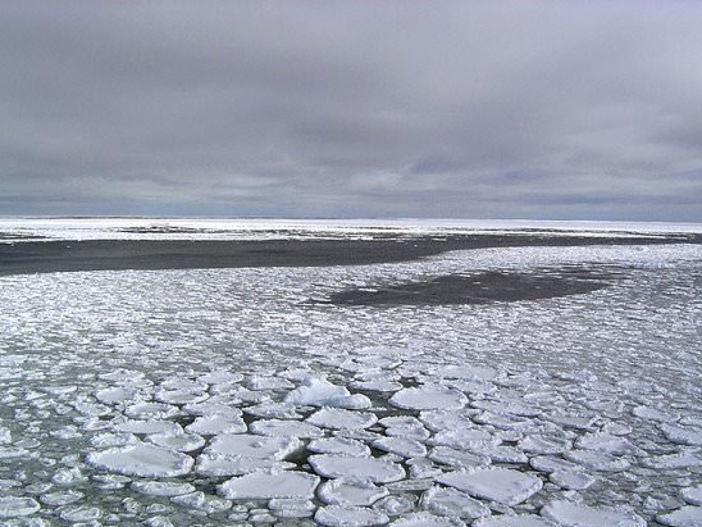 Ученые поведали о пугающем сокращении запасов льда Антарктиды (ФОТО)