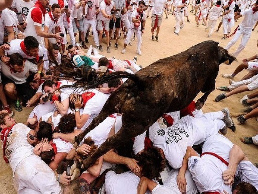 В Испании туристы на празднике Сан-Фермин разъярили быков (ФОТО)