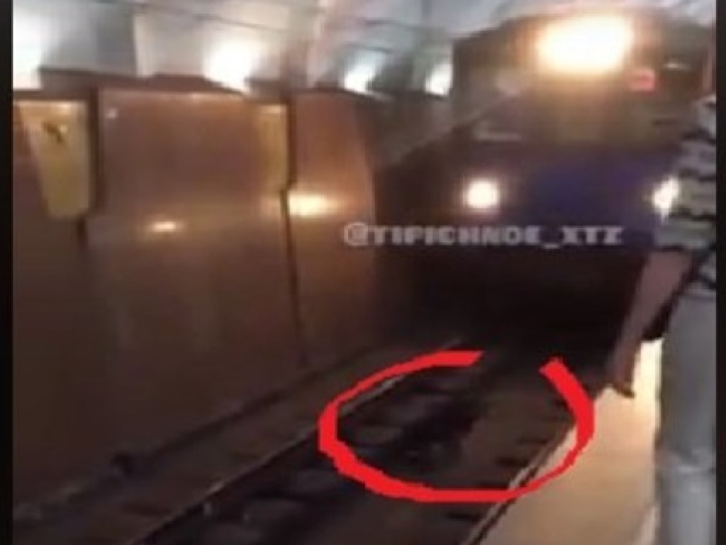 В харьковском метро улегшаяся на рельсах собака спровоцировал остановку движения поездов (ФОТО, ВИДЕО)