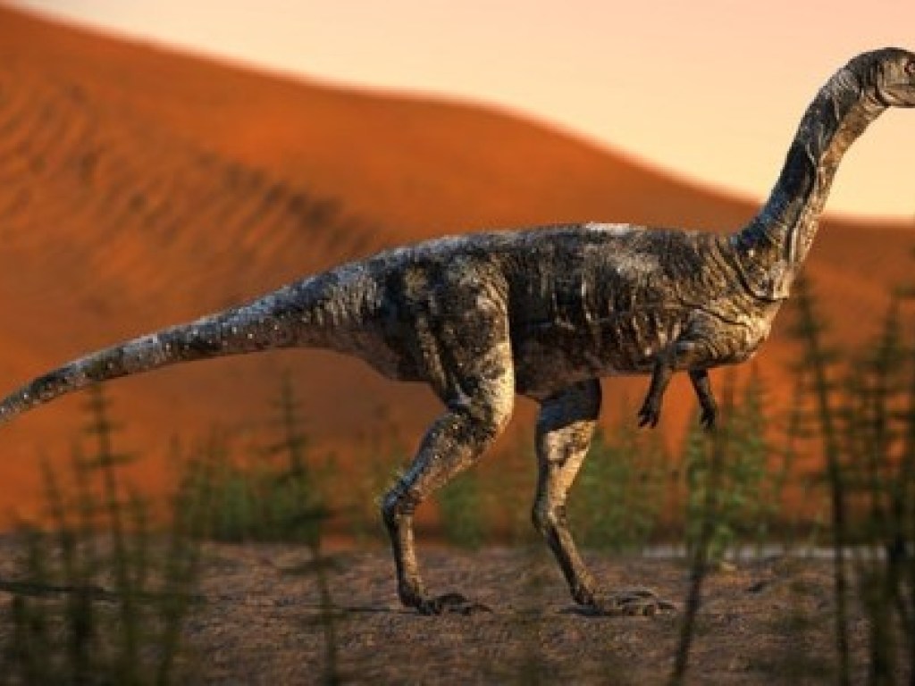 В Бразилии обнаружили новый вид хищного динозавра (ФОТО, ВИДЕО)