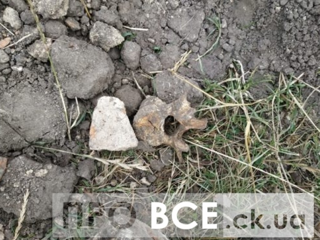 На Черкащине при строительстве церкви нашли останки людей (ФОТО, ВИДЕО)