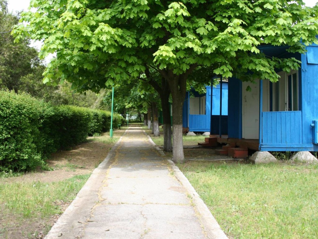 ЧП в лагере под Одессой: из-за отравления госпитализировано 46 детей