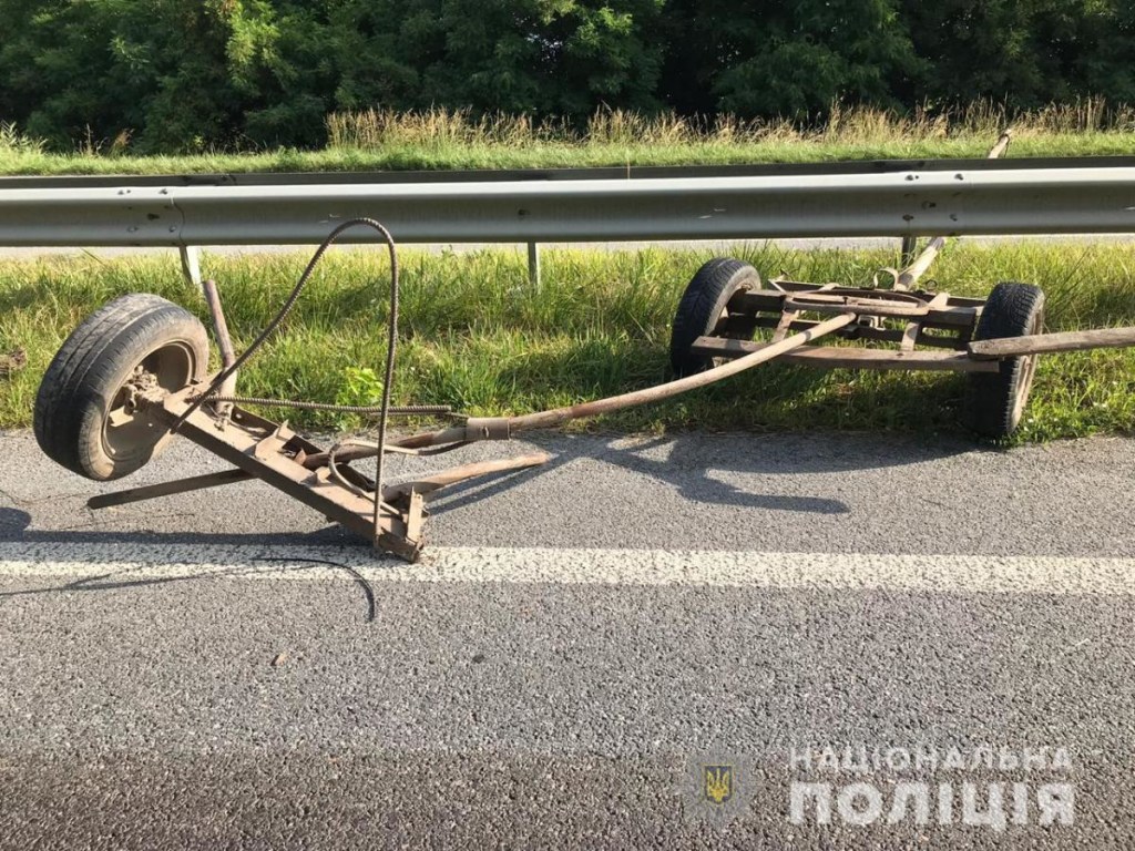 Разбилась конная повозка: В Житомирской области в результате ДТП погибли три человека (ФОТО)