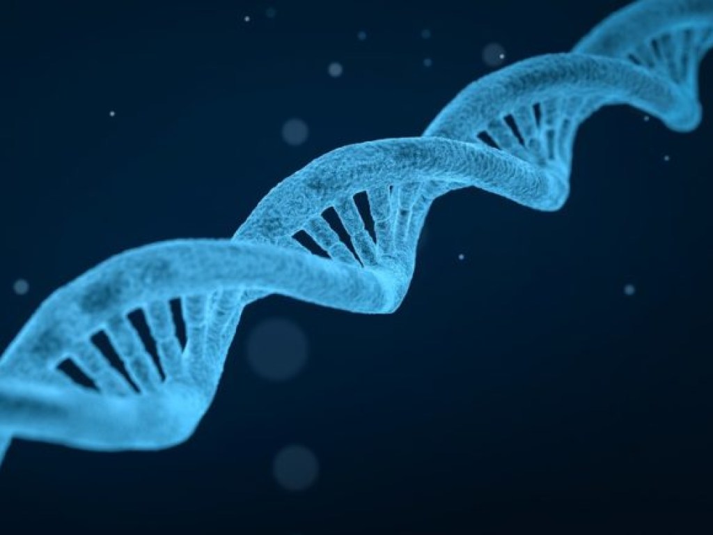 Ученые назвали плохие гены, которые достаются по наследству