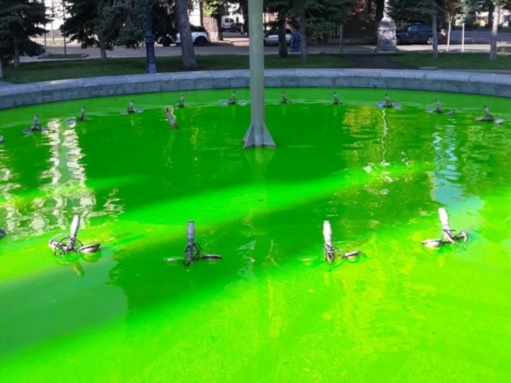 На Крещатике в Киеве неизвестные «озеленили» фонтан (ФОТО)