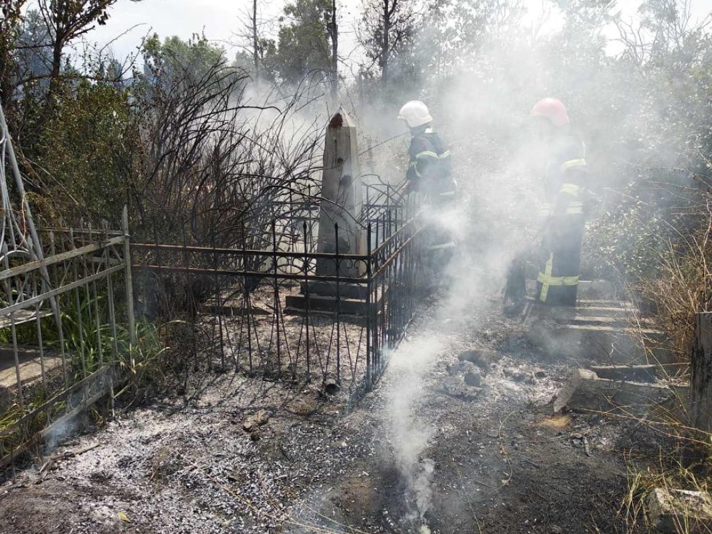 В Николаеве спасатели ликвидировали пожар на старом кладбище (ФОТО, ВИДЕО)