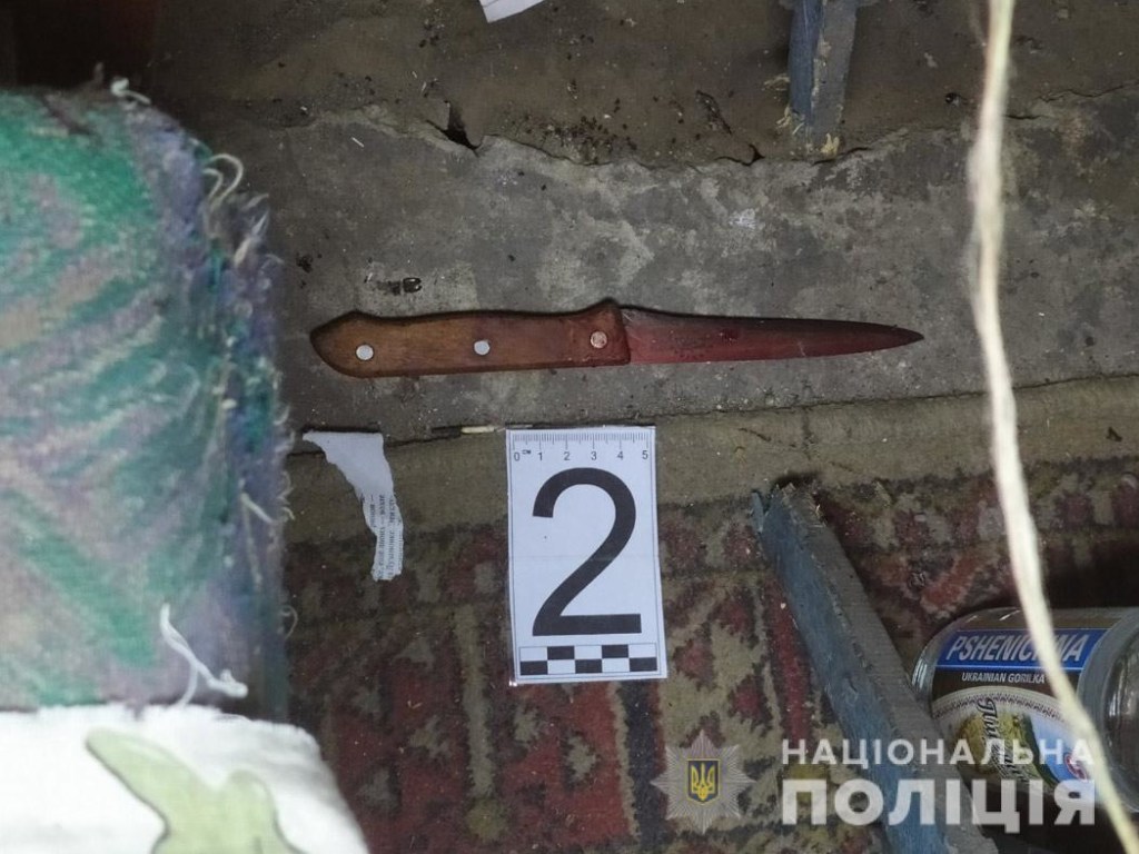 На Днепропетровщине 18-летний парень убил пожилого собутыльника: 15 ударов ножом в грудь (ФОТО)