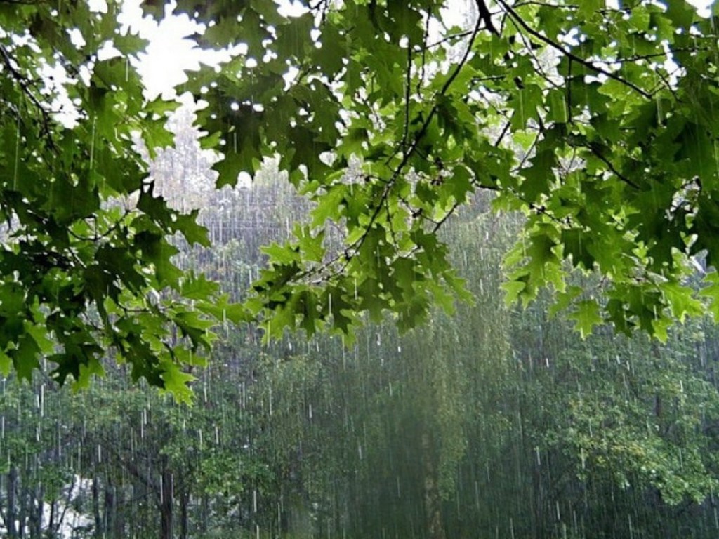 Синоптик: В среду по всей Украине прольются ливни и пронесутся шквалы (КАРТА)